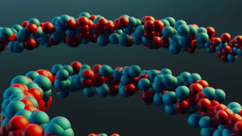 Wired for the One: What Science Is Discovering About Funk in Your DNA